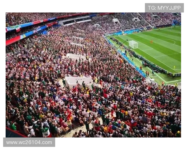 南非世界杯决赛现场气氛与观众反应全景报道