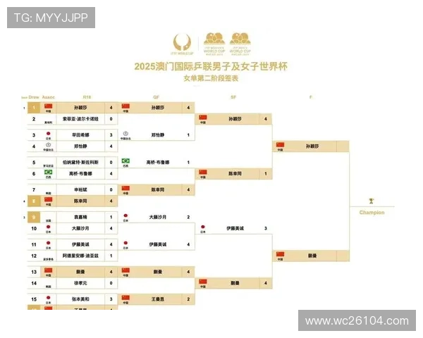 历届世界杯决赛比分表格全景展示，助你轻松掌握足球历史上的重要决战