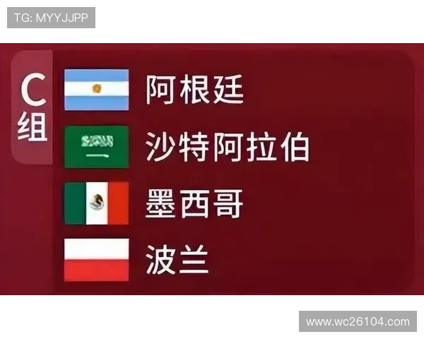 足球世界杯冠军次数排名一览表详解各国夺冠历史与统计数据分析