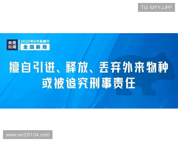 买球体育网站安全可靠吗，专家解析平台安全措施与资金保障让你放心投注无忧